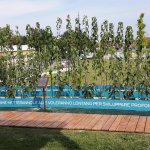 Il vivaio del Parco Eternot | Foto AM Bruno